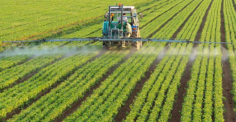 Agriculture
